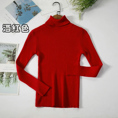 Simple Women Turtleneck Sweater Winter Fashion Pullover Elastic