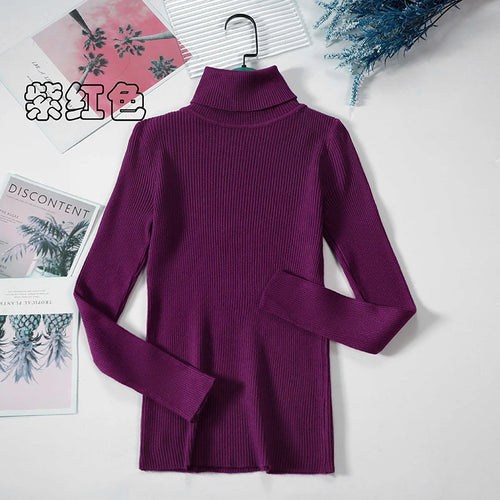 Simple Women Turtleneck Sweater Winter Fashion Pullover Elastic