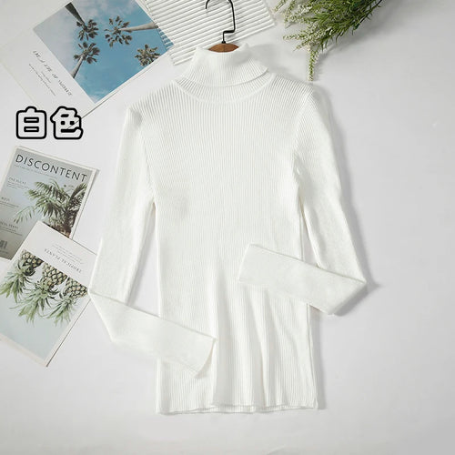 Simple Women Turtleneck Sweater Winter Fashion Pullover Elastic