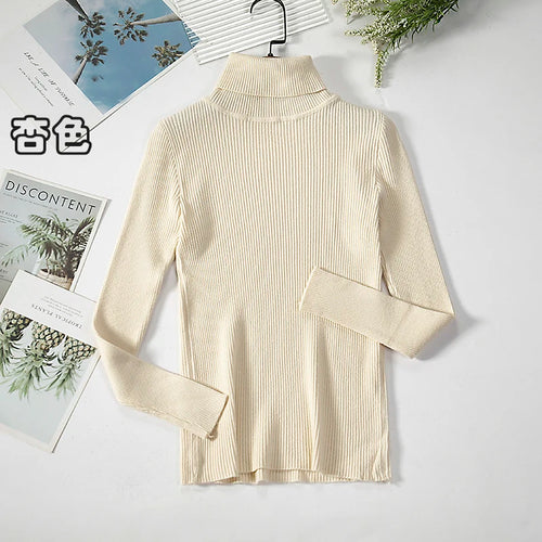 Simple Women Turtleneck Sweater Winter Fashion Pullover Elastic